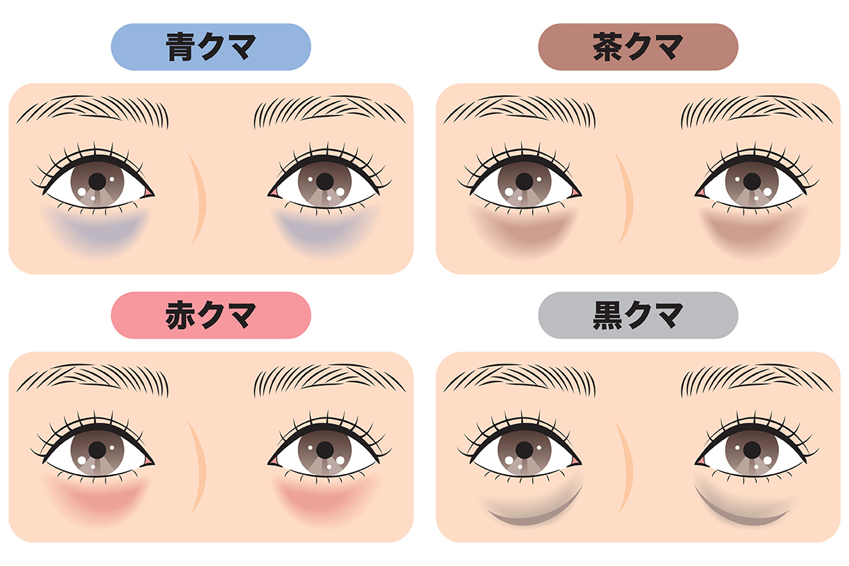 第1章 あなたのクマはどれ？4種類のクマの見分け方