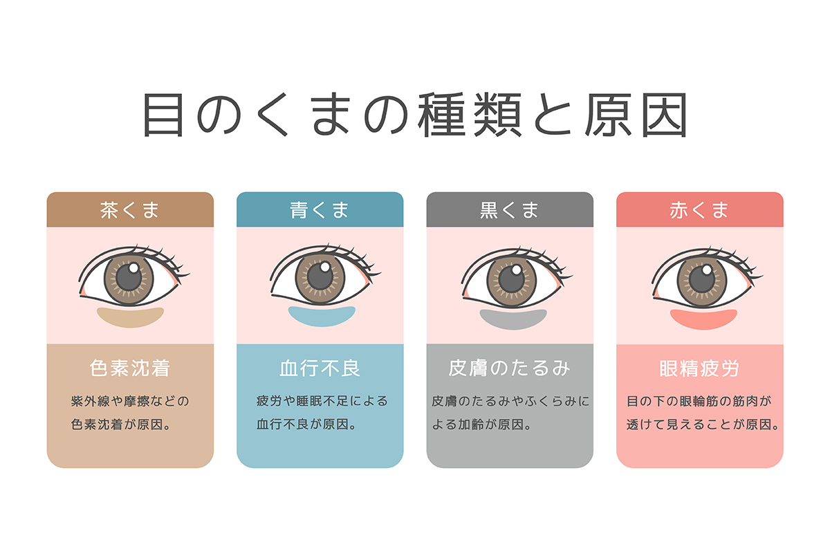 第1章 紫クマとは？