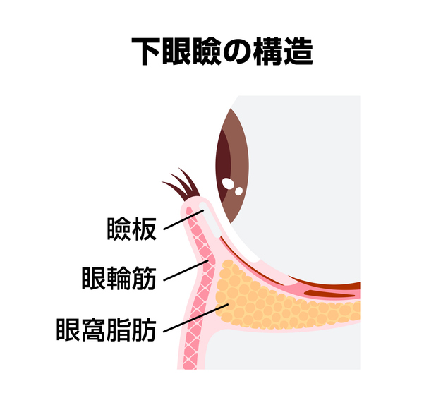 第1章 裏ハムラ法とは？脂肪を捨てずに「再配置」する仕組み